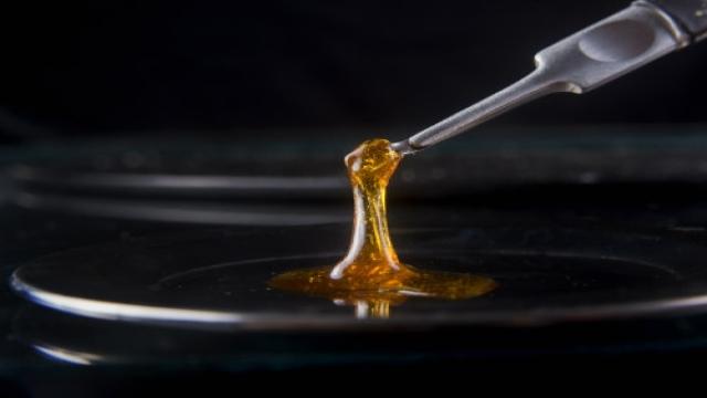 Kurs Dabs Herstellen Teil 3: Cannabis Wax Herstellen