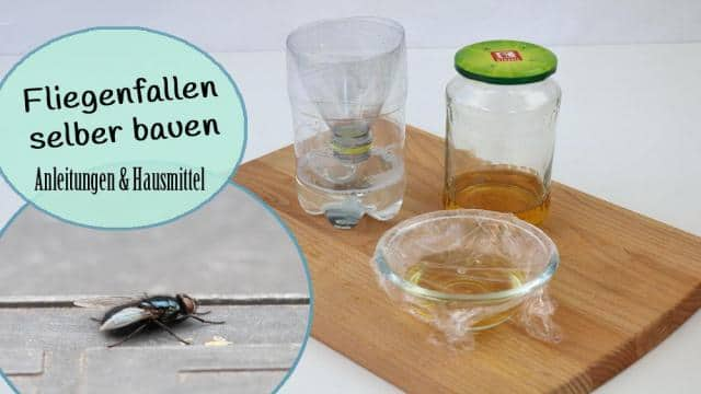 Fliegenfalle selber bauen in 5 Minuten | 9 natürliche Hausmittel