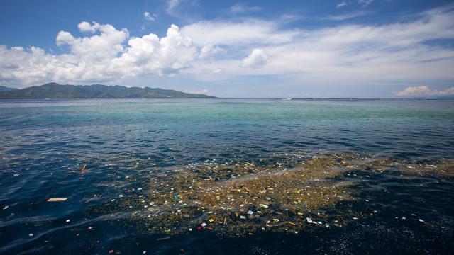 Wie gelangt der Plastikmüll in die Ozeane?