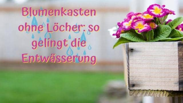 Blumenkasten ohne Löcher: so gelingt die Entwässerung