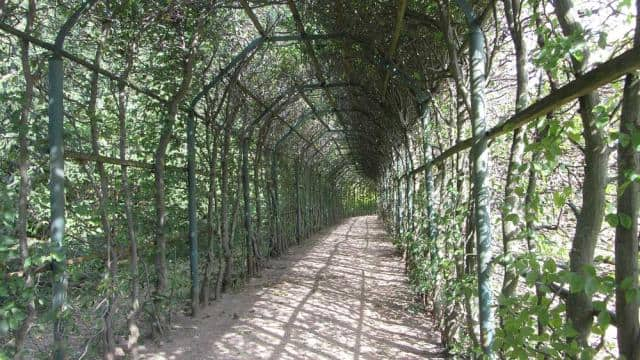 Laubengang Architektur im Garten – begrünte Wege im Schatten