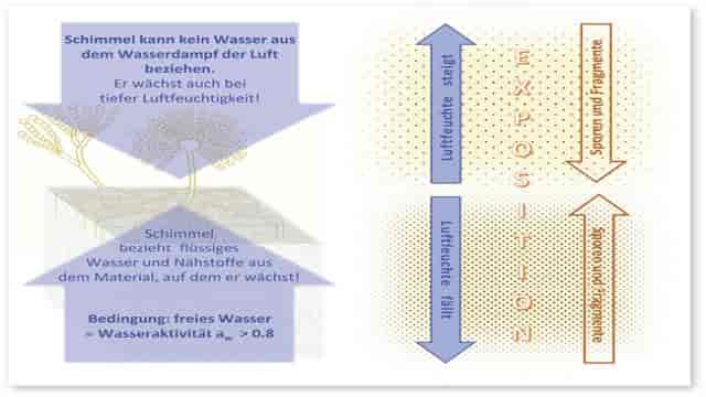 Schimmel braucht Wasser, keine Luftfeuchtigkeit