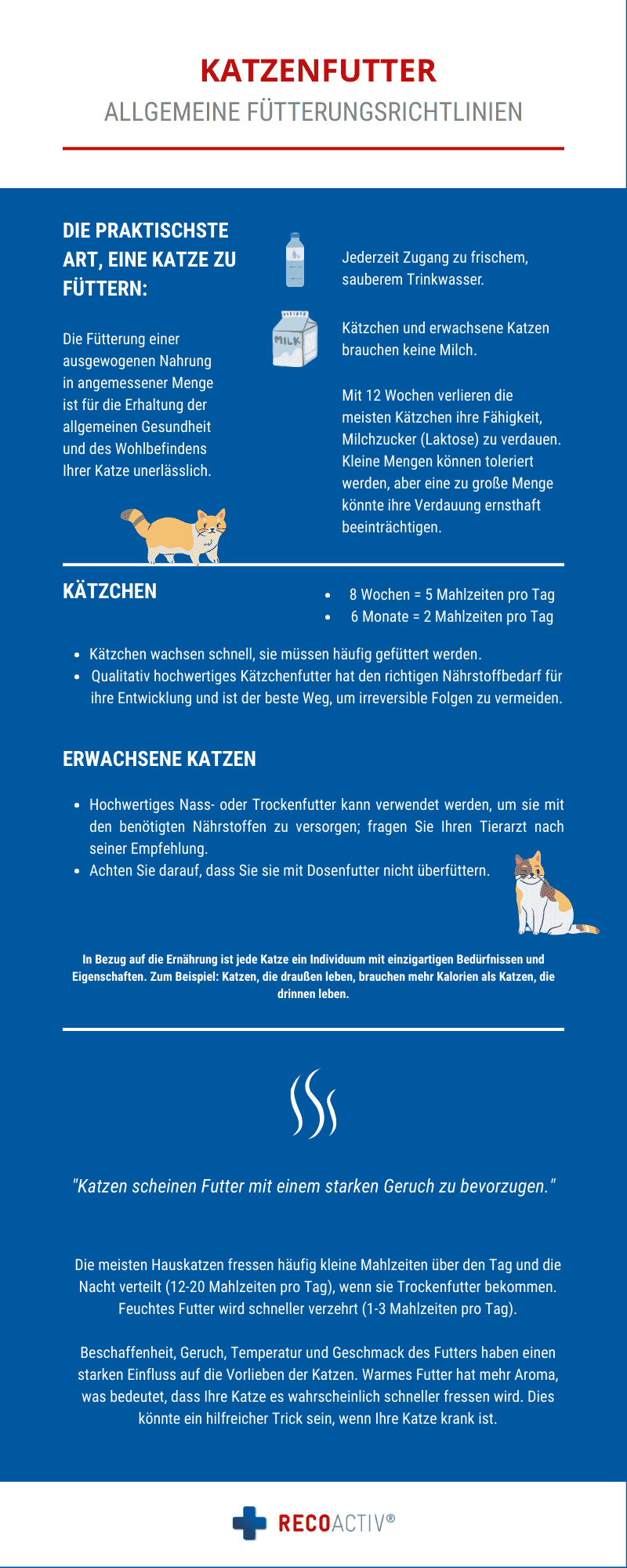 Katze frisst nicht mehr