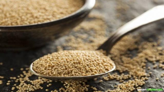 Amaranth: Köstliche Energiebomben ohne Gluten zum Selbermachen