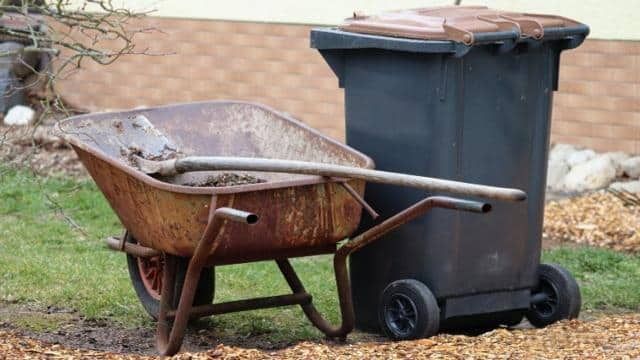 Verwilderten Garten herrichten: So kannst du vorgehen