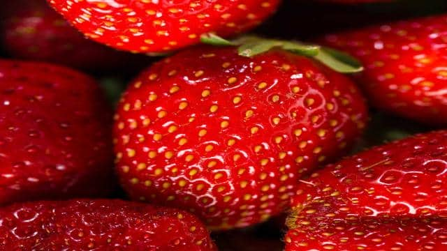 Erdbeeren Samen – wie lange brauchen sie zum Keimen?