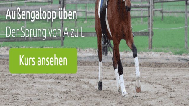 Außengalopp reiten