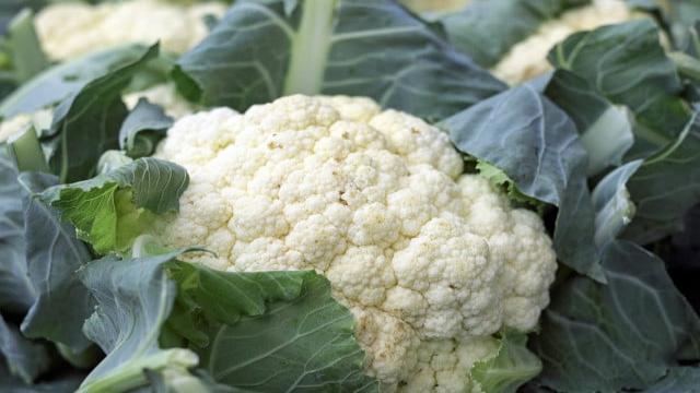 Blumenkohl kochen: Die besten Tipps für die Zubereitung