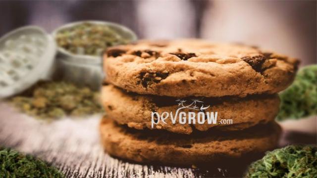 Cannabis-Cookies selber backen