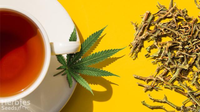 Hast du übrig gebliebene Cannabis-Stängel? So kannst du einen Tee aus ihnen brauen