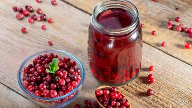 Cranberry – alles was du über Cranberries wissen solltest!