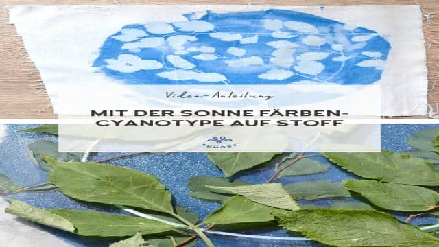 Cyanotype auf Stoff – Mit Blättern drucken