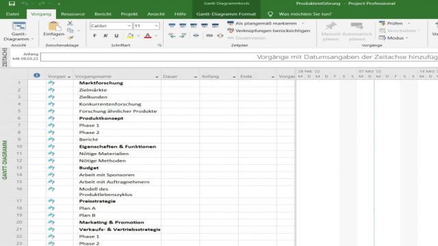 Wie kann man ein MS Project-Gantt-Diagramm erstellen