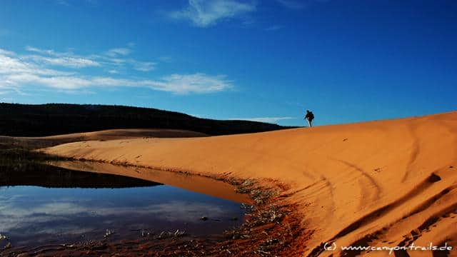 Coral Pink Sand Dunes State Park Kanab Zion