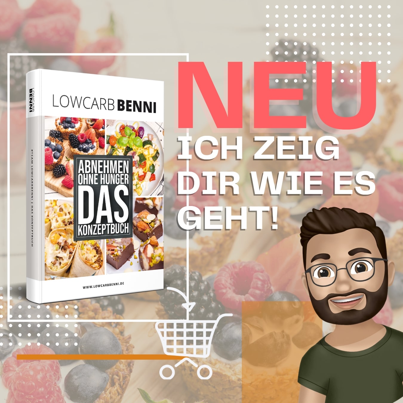 Würzige Scampi auf buntem Salat-Teller – Lecker & Low Carb