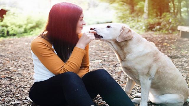 Wie du mehr Aufmerksamkeit in den Hundealltag integrierst