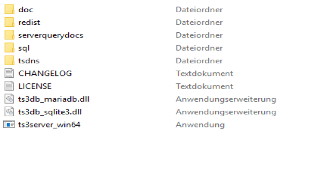 Wie erstelle ich meinen eigenen Teamspeak 3 Server?