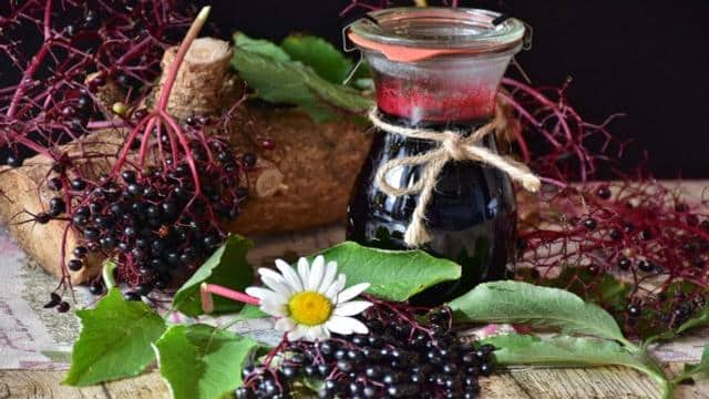 Holunderbeerensirup selber machen: Einfaches Rezept mit 3 Zutaten