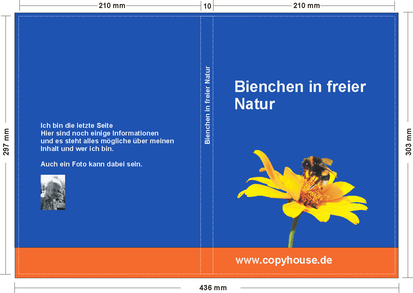 Info für den Umschlag eines Buches