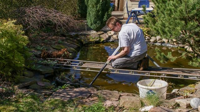 So reinigen Sie Ihren Gartenteich im Frühling effektiv