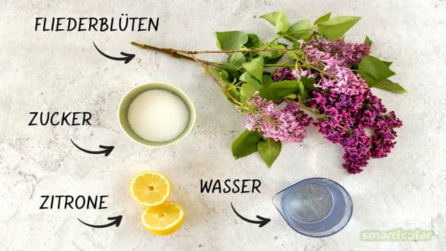 Rezept für Fliederblütensirup: Frühlingsaromen einfach haltbar machen