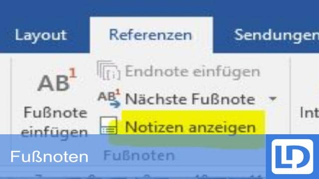 Fußnoten einfügen und formatieren