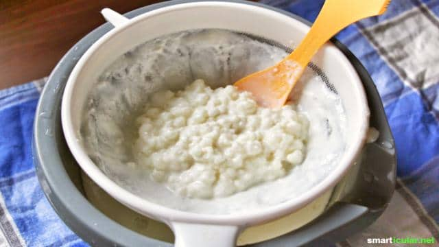 Milchkefir selber machen - das probiotische Getränk für deine Gesundheit