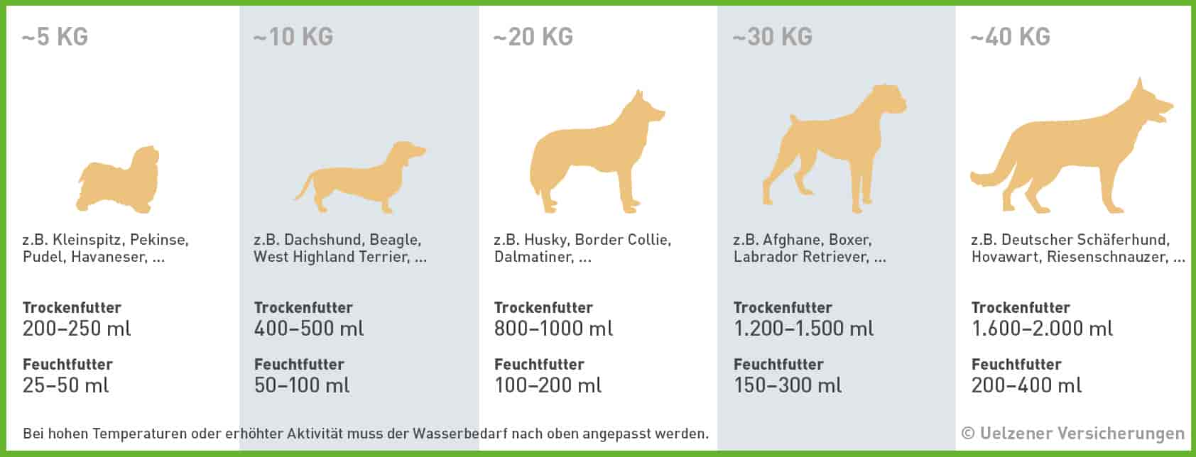 Trinkmenge Hund: Wie viel sollte ein Hund trinken?