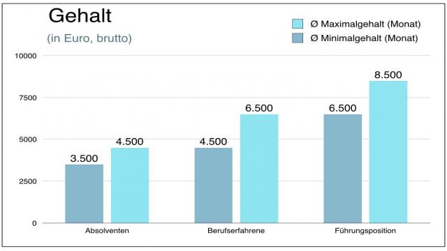 Jobprofil: Wirtschaftsinformatiker