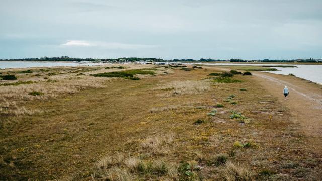 Urlaub auf der Insel Fehmarn