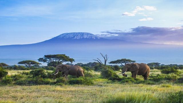 Wunderschönes Kenia