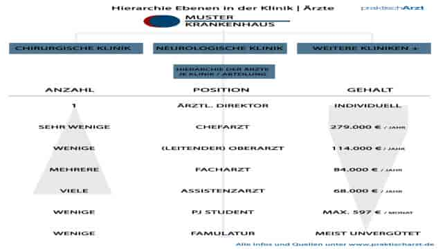 Klinik Hierarchie der Arzt Positionen – Vom Famulus zum Chefarzt