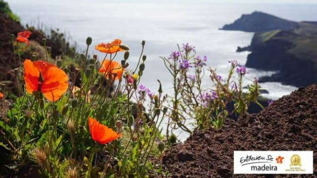 12 Dinge, die du vor einer Wanderreise auf Madeira wissen solltest