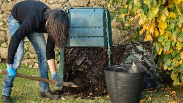 Darf ich eigentlich?         Gar­ten­ab­fäl­le entsorgen: Was erlaubt ist