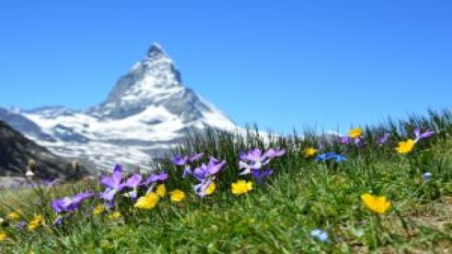 Mögliche Bestattungsarten in Deutschland