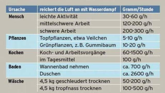 Schimmel & Feuchte