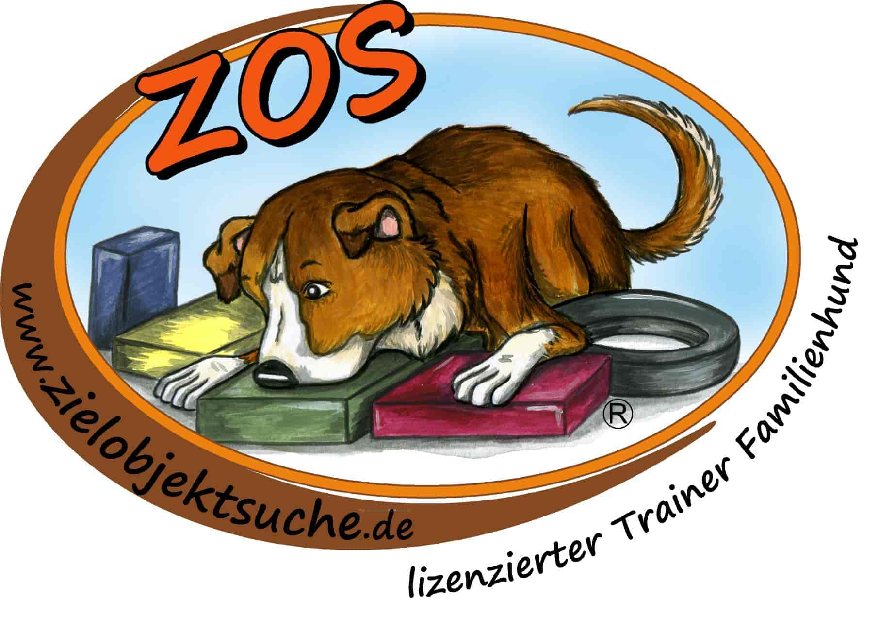 Leinenlos Hundetraining